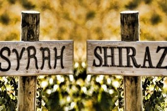 Shiraz vs Syrah: Monday 28 May 2018
